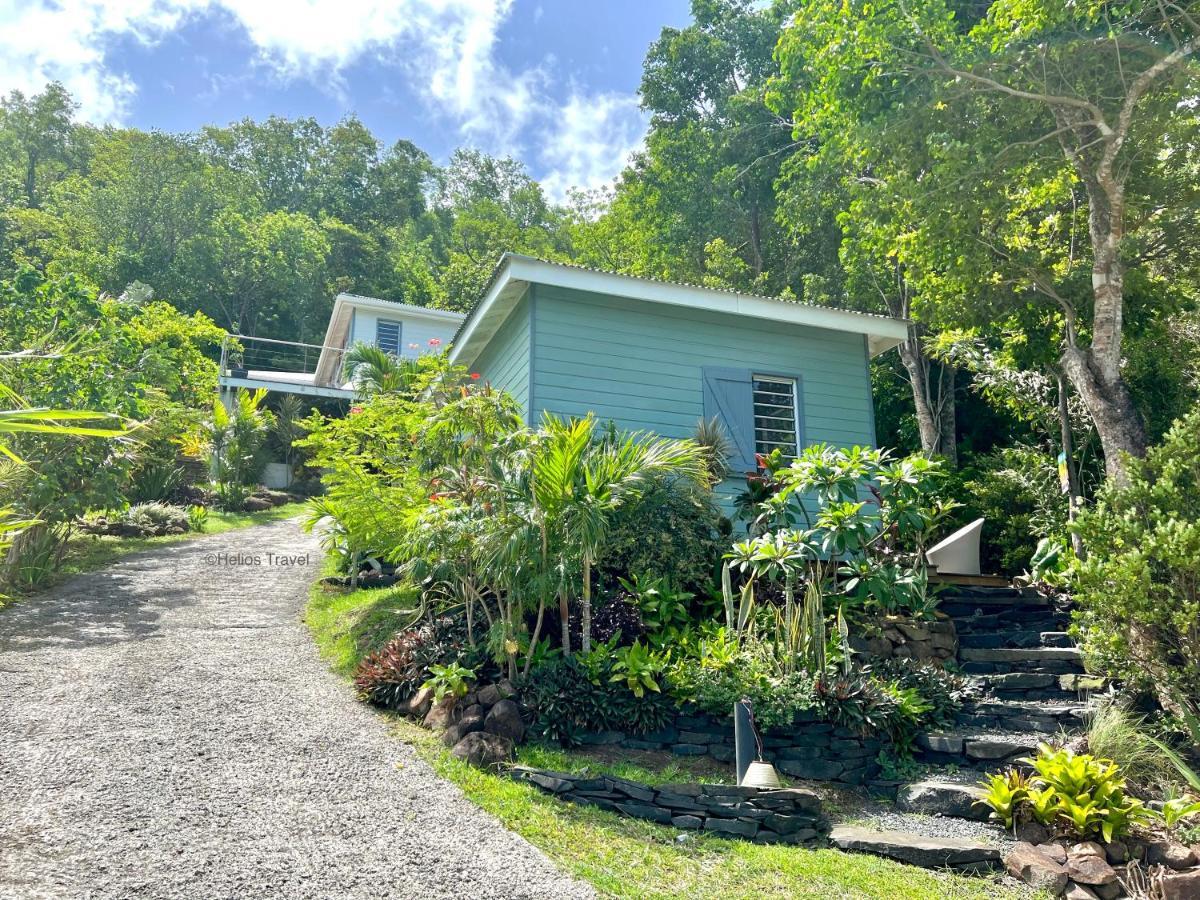 Le Surf Lodge, Chambre Avec Vue Mer Dans Un Ecrin De Verdure 德赛 外观 照片