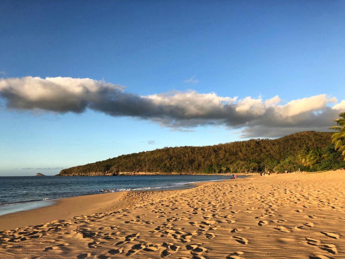 Le Surf Lodge, Chambre Avec Vue Mer Dans Un Ecrin De Verdure 德赛 外观 照片