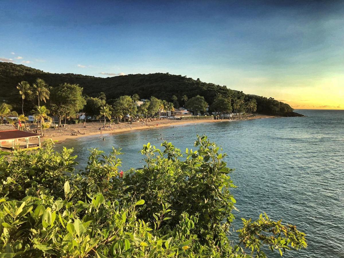 Le Surf Lodge, Chambre Avec Vue Mer Dans Un Ecrin De Verdure 德赛 外观 照片